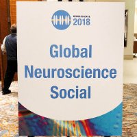 Global Neuroscience Social (@globalneurosci1) 's Twitter Profile