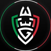 WLG Italy (@wlgitaly) 's Twitter Profile Photo WLG Italy (@wlgitaly) 's Twitter Profile Photo