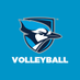 Elmhurst University Volleyball (@ElmhurstU_VB) Twitter profile photo