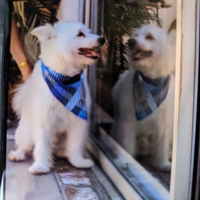 @5439Brockwood
https://t.co/0220YxM2J4
https://t.co/IgryBIvRpB
https://t.co/yn2dSYacwv