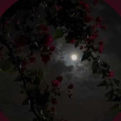 Hajar97275025's profile picture. الحمدلله دائمآ وأبدآ ❤️