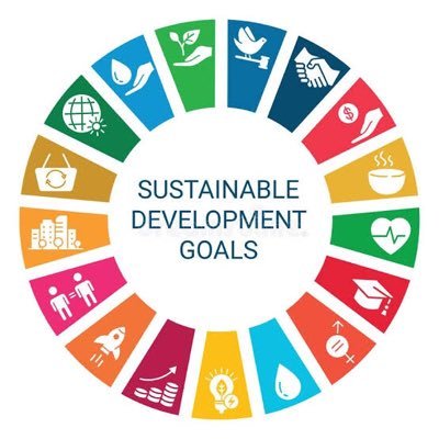 youths led organizations that advocates for Achieving the SDGS and protecting human rights