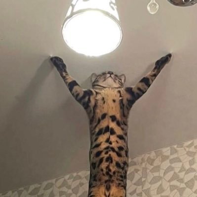 Esoter1ck's profile picture. 