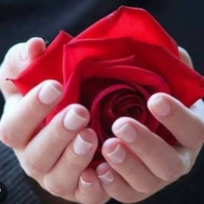 @Single
@insearchofwife
Just simple loving and caring woman that believes in love 😍❤️❤️