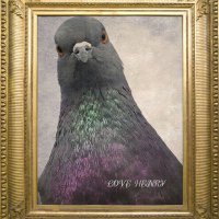 HENRY @HENRY30126252 (@mariama50523146) 's Twitter Profile