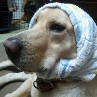 S FG (@sfg07197600) 's Twitter Profile