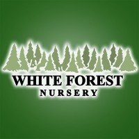 White Forest Nursery (@whiteforestnurs) 's Twitter Profile Photo White Forest Nursery (@whiteforestnurs) 's Twitter Profile Photo