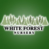 White Forest Nursery(@WhiteForestNurs) 's Twitter Profile Photo