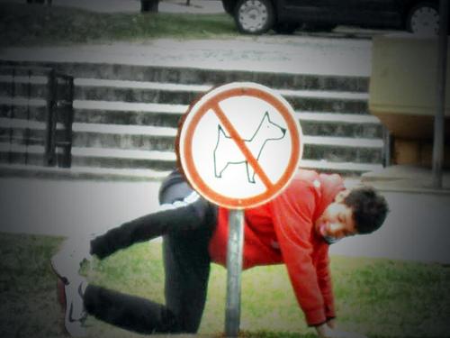 marcos2s's profile picture. Sou um eterno aprendiz que no traçado da história tenta entender quem sou. Sou apenas um caminhante a procura de mim mesmo.