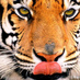 Rujuruju (@ruju62) Twitter profile photo Rujuruju (@ruju62) Twitter profile photo