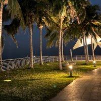 حتى حين! (@0n2no) 's Twitter Profile Photo