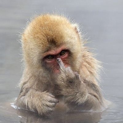 Denniskariuki07's profile picture. Right attitude