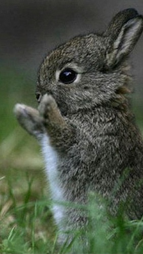 lizzie_todd's profile picture. 