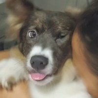 maria clarinha (@claragnds) 's Twitter Profile