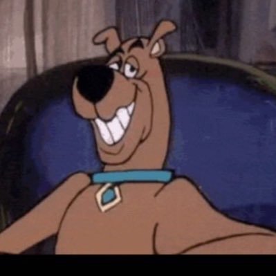 BonanzaA361's profile picture. 