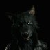 Darkstripe (@darkstripes1) Twitter profile photo Darkstripe (@darkstripes1) Twitter profile photo