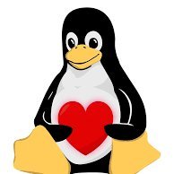 thelinuxnator's profile picture. infoLinuxLover@gmail
BSG