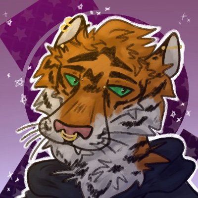 Roux 🐅 🇱🇻さんのプロフィール画像