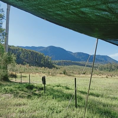 tigerjanie's profile picture. Literary buff. Mad for movies. Coffee. Wine. Travel enthusiast. Sailor. Art lover.. something like that.