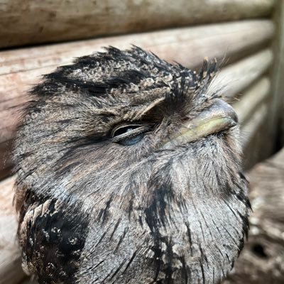 aannn333's profile picture. 