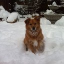 susie rees-joualla - @sujo69 - Twitter