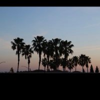 MisGold (@misgold18) 's Twitter Profile