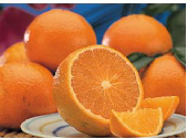 Our family has been growing, packing and shipping Florida citrus for 130 years (1882). We market through local farmer's markets and we ship Nov-April each year