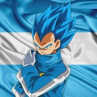 ŢHĘ ŞĄÝĄŅ PŘĮŅÇĘ💙🙄💥👊🇦🇷 (@diazlucasmg) 's Twitter Profile