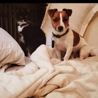 Eric Knight (@erickni09204576) 's Twitter Profile