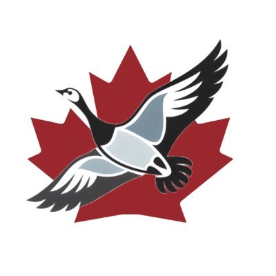 Regulated Canadian Immigration Consultant based in Canada and serving clients across the globe