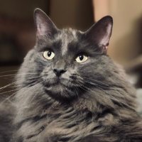 Leah Marie (@leah_marie2022) 's Twitter Profile Photo