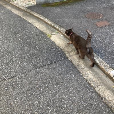 palfa7878's profile picture. ほぼ閲覧用 最近は少しだけしゃべります