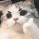 Bradley Sharp - @Bradley37651483 - Twitter