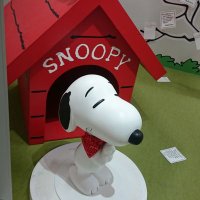 _SNOOPY_8008 (@tomoshun11) 's Twitter Profile