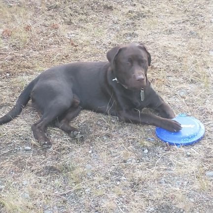 S_Caseman's profile picture. Sports Golf Sports Commentary