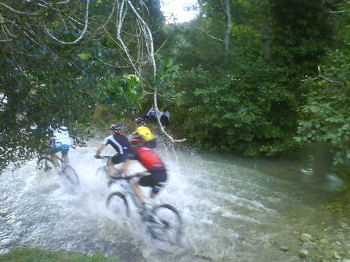 PaoloDitale's profile picture. 