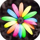 Bailey Peabody - @PeaceQueen55829 - Twitter