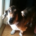 Mitch Patterson - @PrimateMitch - Twitter