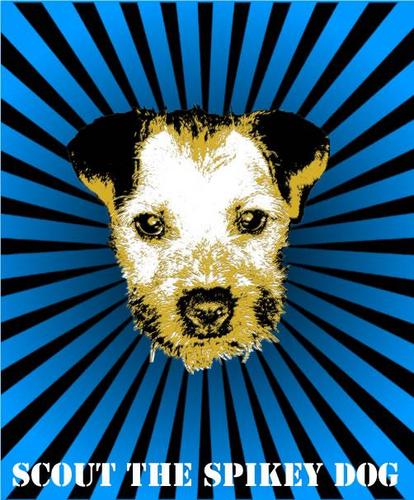 bobthedog15's profile picture. Just your average dog that loves life.....