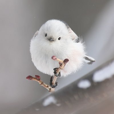 す🍶さんのプロフィール画像