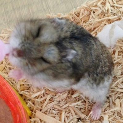 daikichi2148's profile picture. ゴルフと温泉を愛する48歳会社員です。埼玉県在住（東京寄り）