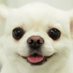 KEN (@63vd17fsqcsbw8z) Twitter profile photo KEN (@63vd17fsqcsbw8z) Twitter profile photo