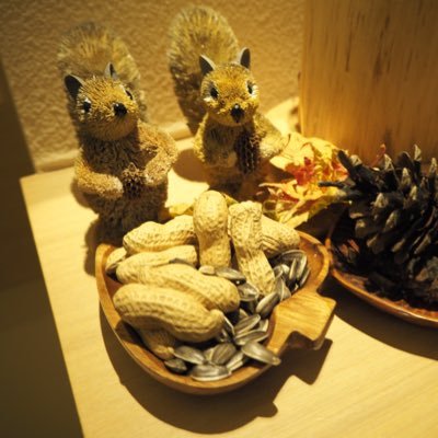 9uwIpuM7l7q0AYQ's profile picture. 建設BIM推進部のなんでも屋さん🐼（設計担当） Archicad / Revit🔰 / 点群スキャン/ VR / ドローン測量 / 3Dぷりんたー たまに #スキャン飯 🍚更新中！