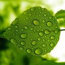 Corey Halford - @CoreyJHalford - Twitter