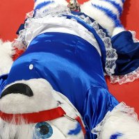 Egnur Tiger🔗⛓️🔑🔞 (@egnurad) 's Twitter Profile