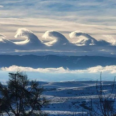 Jackport6716's profile picture. Christian - Wife - Mother - Cult Survivor - Gen X - Conservative - Anti Woke!