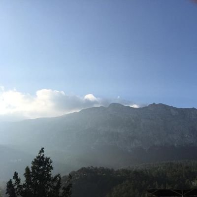 bctnll's profile picture. 