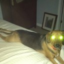 Adam Ashbrook - @adamashbrook - Twitter