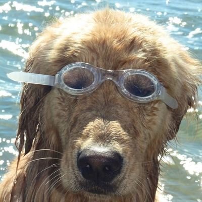 mfrdmn_'s profile picture. 