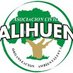 Alihuen (@AlihuenOnline) Twitter profile photo